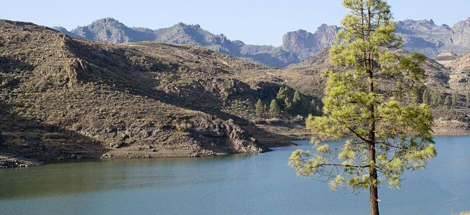 Trekking sulla Via delle Dighe Trekking a Gran Canaria