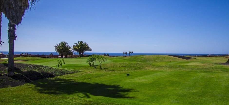 Golf Club Salinas de Antigua Campi da golf di Fuerteventura