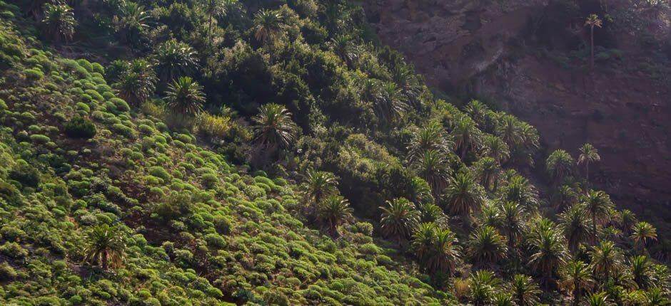 Taguluche Borghi di La Gomera