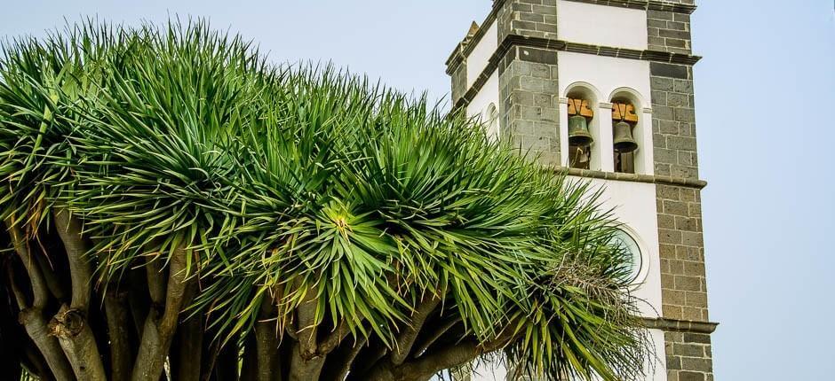 Tegueste Località incantevoli di Tenerife