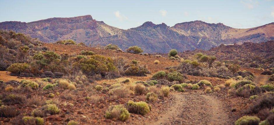 Percorsi Trail Running Tenerife, Percorsi Trail Running