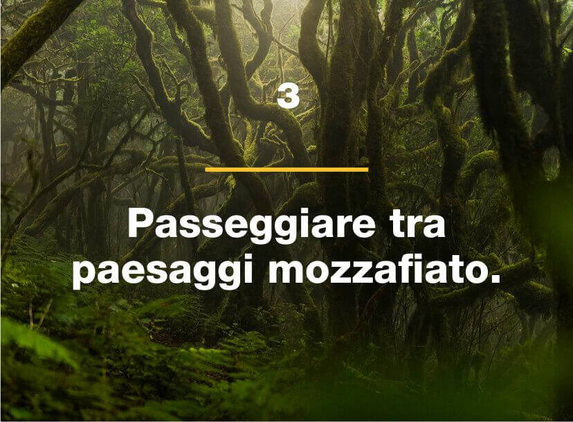 Passeggiare tra paesaggi mozzafiato.