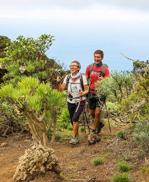 El Sabinar. El Hierro.