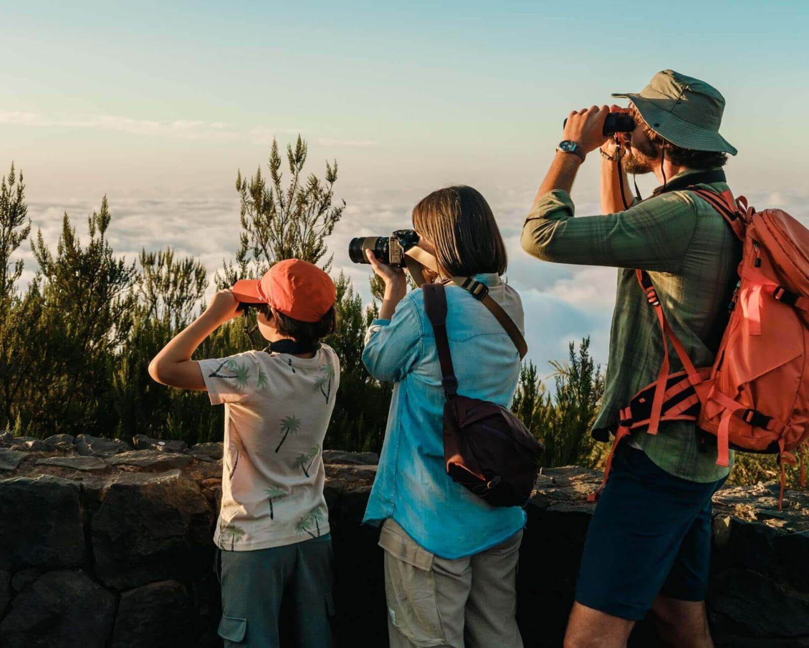 Gruppo che osserva uccelli con binocoli e fotocamere da un belvedere immerso tra pini delle Canarie e nuvole.