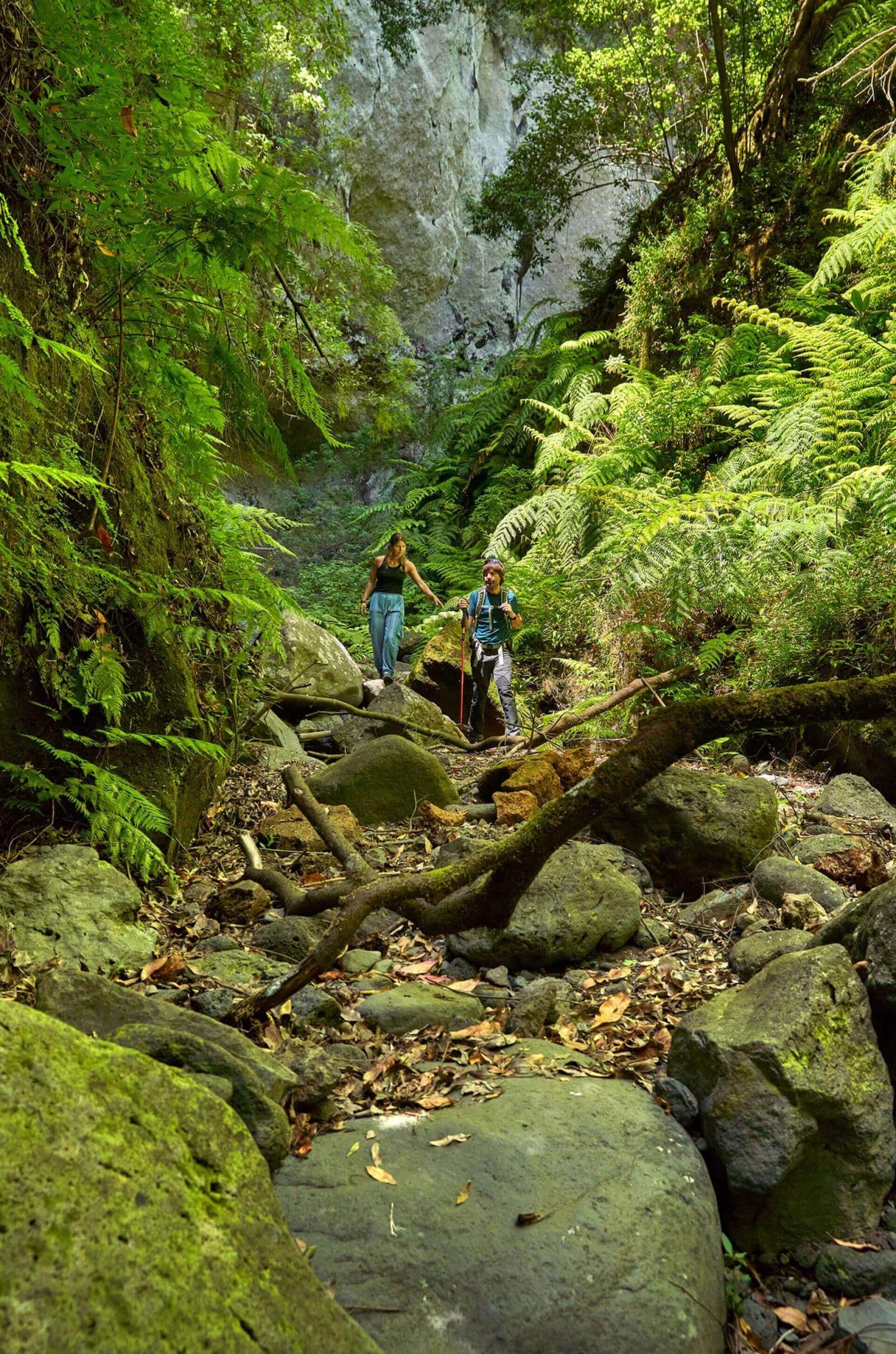 Due persone avanzano tra rocce e felci nella Foresta di Los Tilos, circondate da laurisilva.