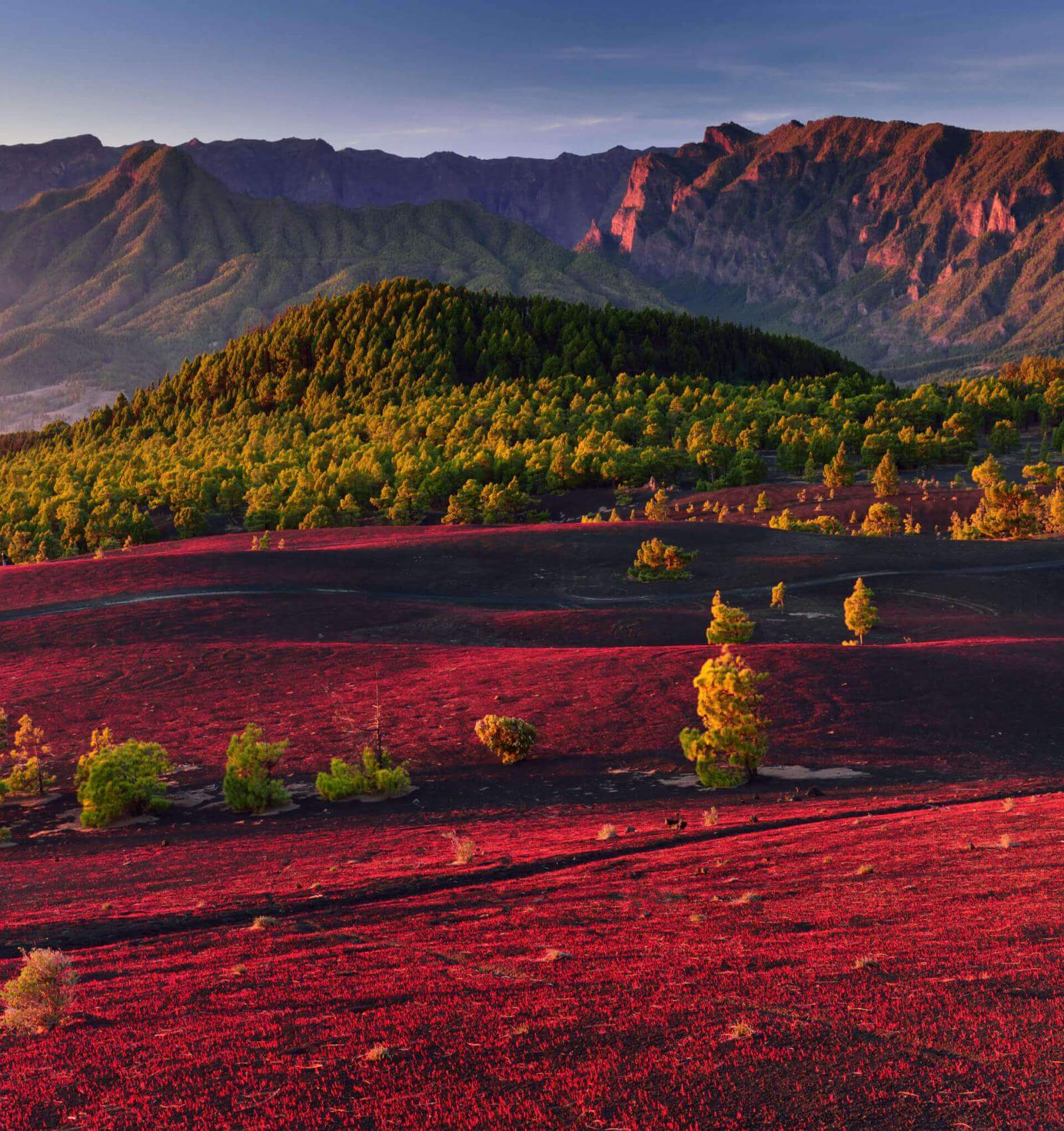 Llanos del Jable a La Palma, con pianura vulcanica rossastra, foresta di pini canari e montagne sullo sfondo.