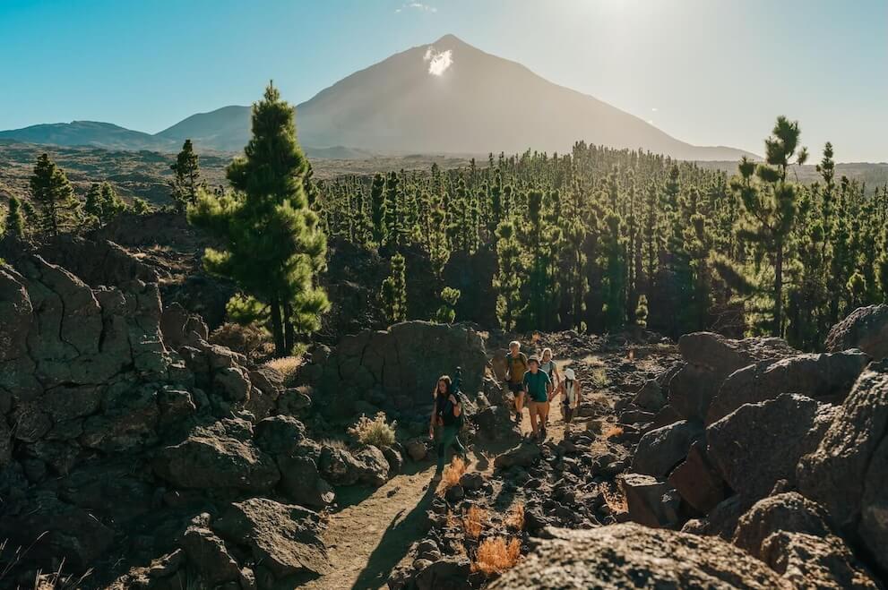 Gruppo in escursione tra rocce vulcaniche e pini delle Canarie con il Teide sullo sfondo a Tenerife.