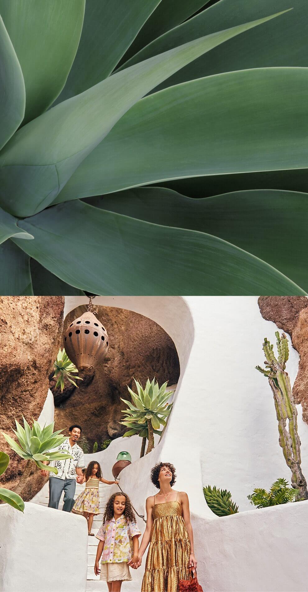 Famiglia che scende da una scala bianca integrata nella roccia vulcanica, circondata da cactus e vegetazione in design organico.