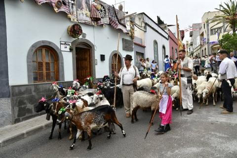 Romería San Juan Bautista, Arucas