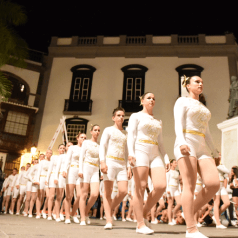 danza_de_acrobatas