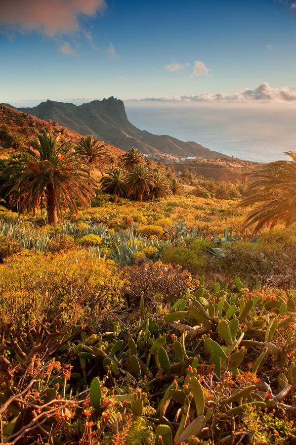 LL 7906 La Gomera