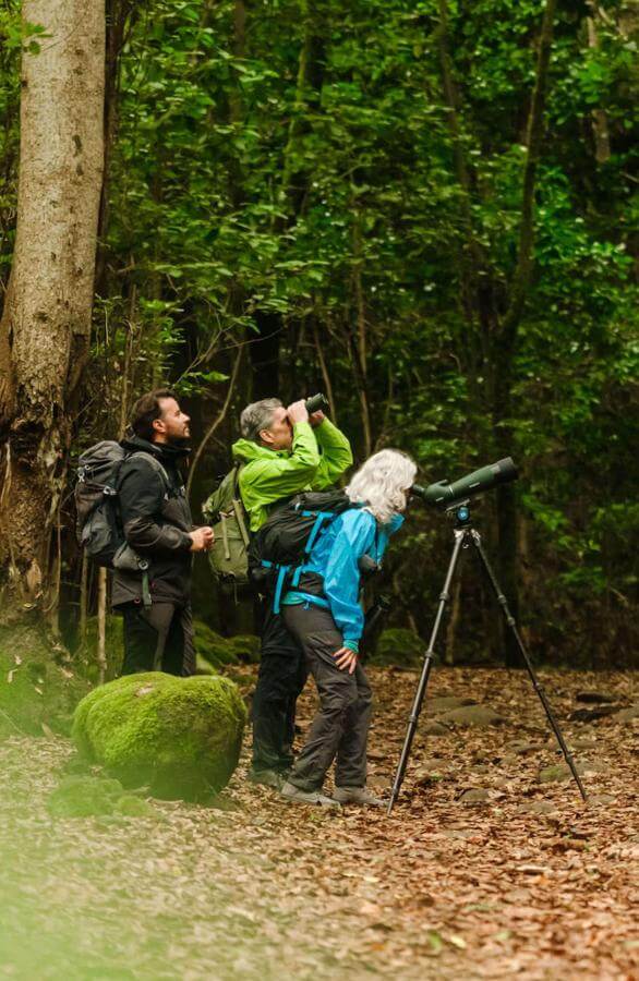 Gruppo di birdwatcher con telescopio ad Anaga.