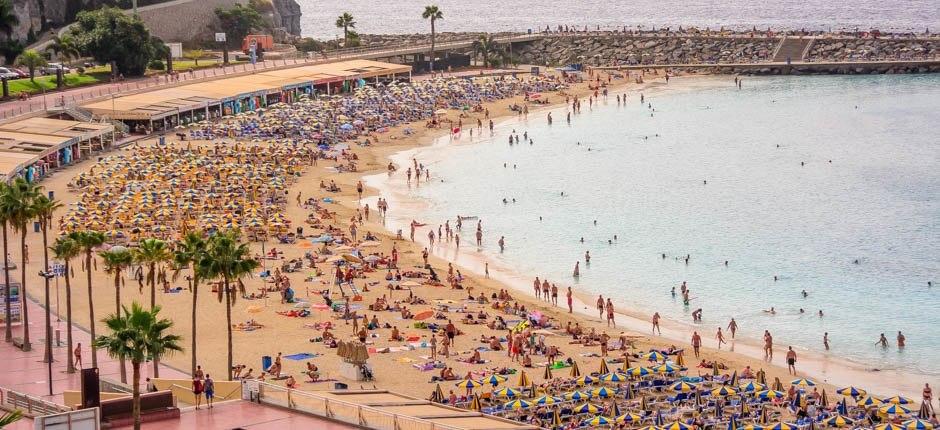Spiaggia di Amadores Spiagge popolari di Gran Canaria