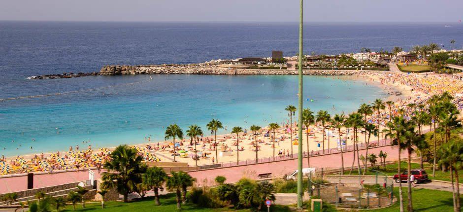 Spiaggia di Amadores Spiagge popolari di Gran Canaria