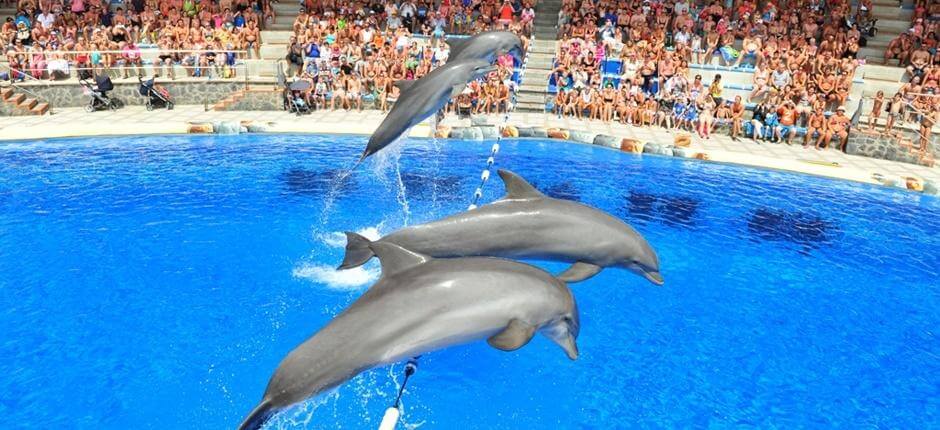 Aqualand Costa Adeje Parchi acquatici a Tenerife