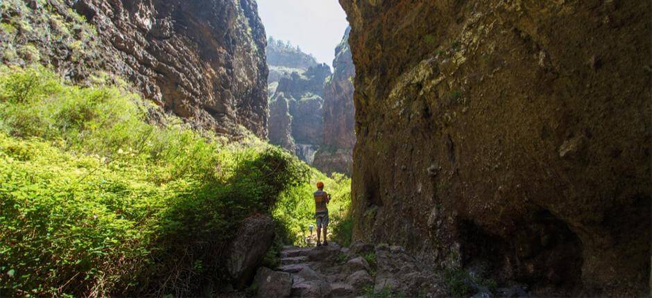 Barranco del Infierno en Tenerife