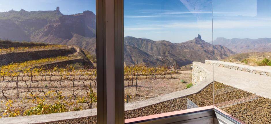 Bodega Bentayga a Gran Canaria