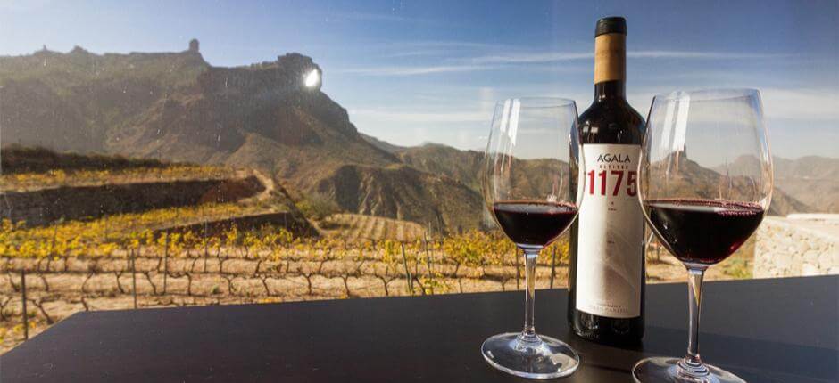 Bodega Bentayga a Gran Canaria
