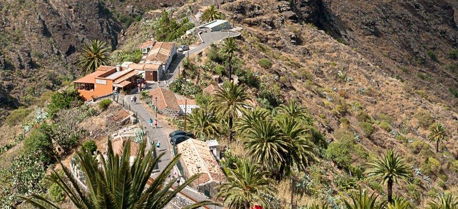 Masca Borghi di Tenerife