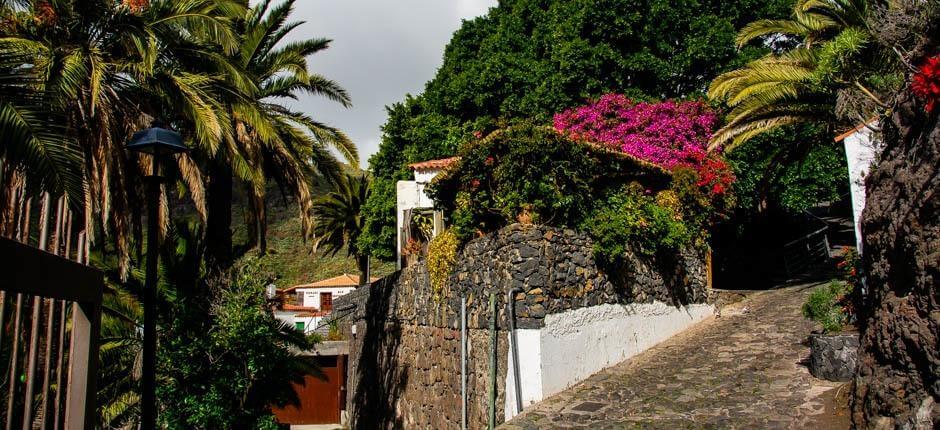 Masca Borghi di Tenerife