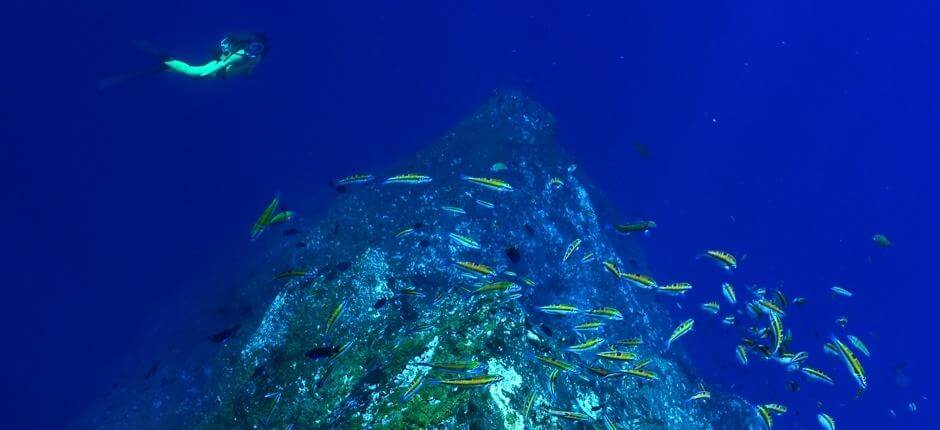 Immergersi a El Bajón di El Hierro