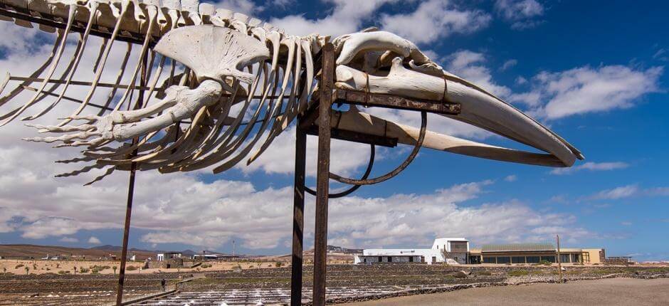 Museo del Sale Musei a Fuerteventura