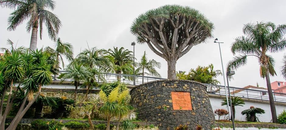 El Sauzal Località incantevoli di Tenerife 