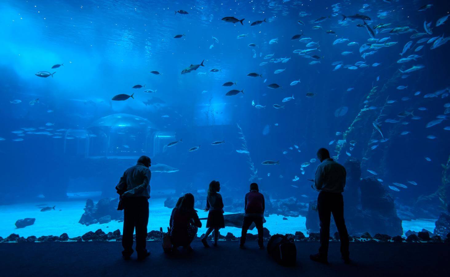 Acuario Poema del Mar