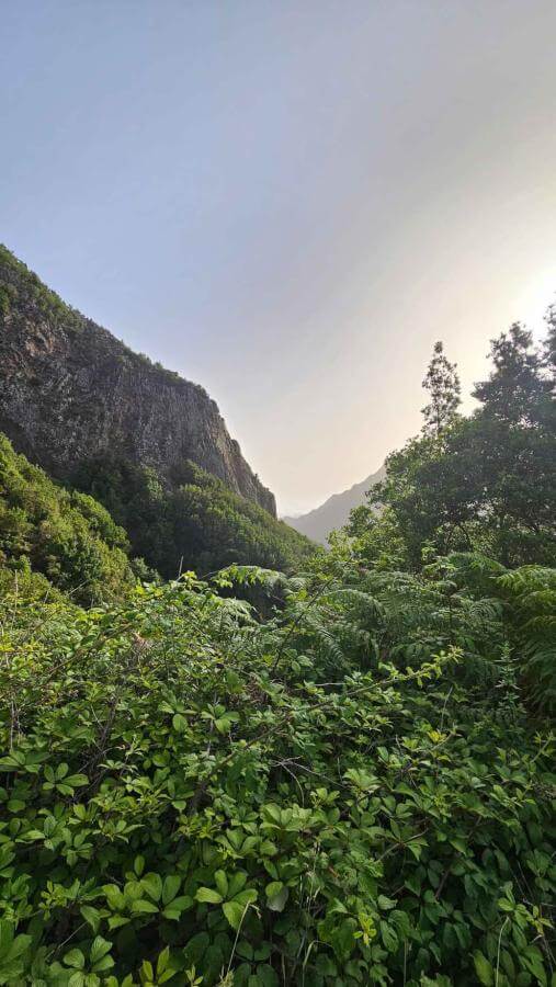 La Meseta de Hermigua