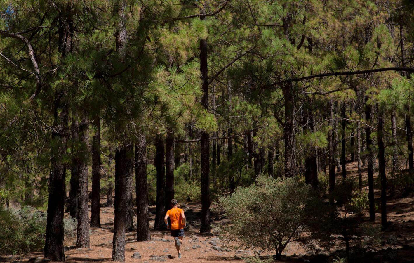 Garañón - Maspalomas-Trail