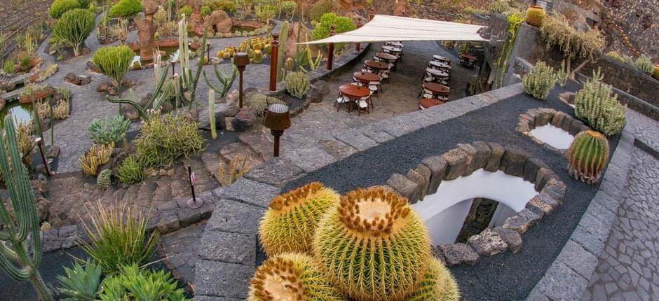 Jardín de Cactus Musei e attrazioni turistiche a Lanzarote