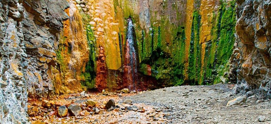 Caldera di Taburiente + Sentieri di La Palma