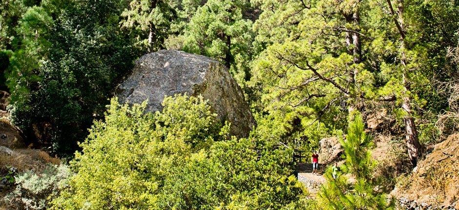 Caldera di Taburiente + Sentieri di La Palma