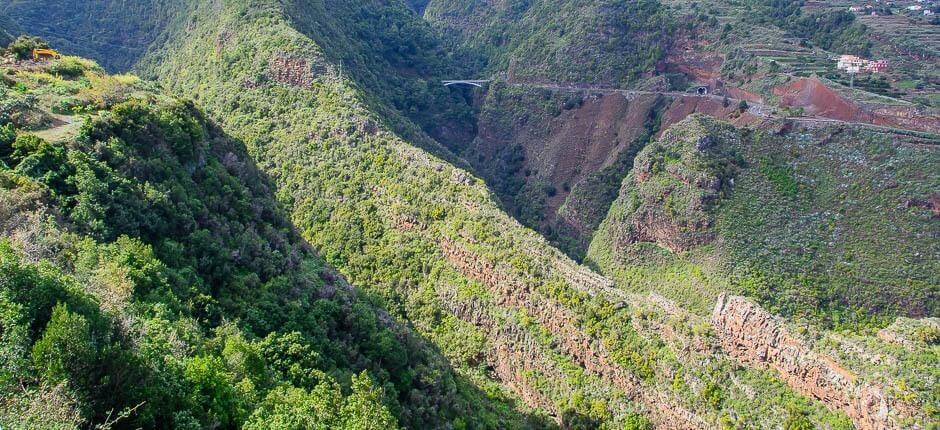 La Galga Borghi di La Palma