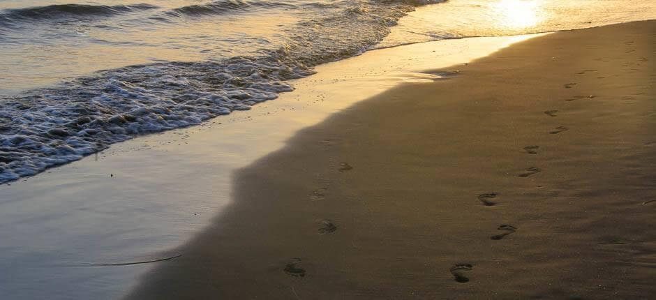 Spiaggia di Maspalomas Spiagge popolari di Gran Canaria