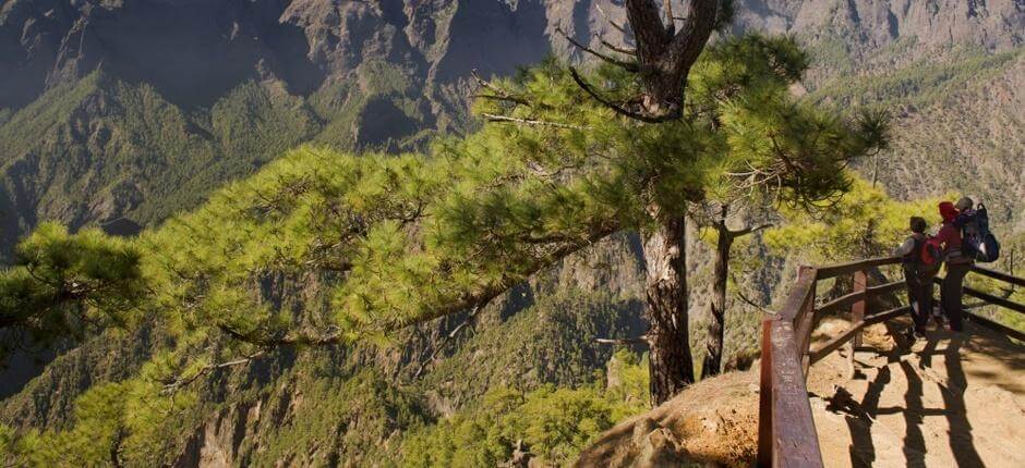 Belvedere di La Cumbrecita, a La Palma