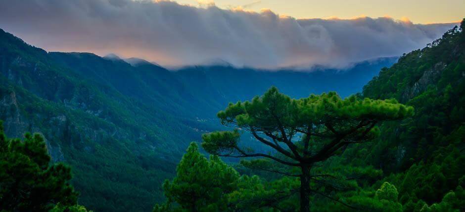 Belvedere di La Cumbrecita, a La Palma