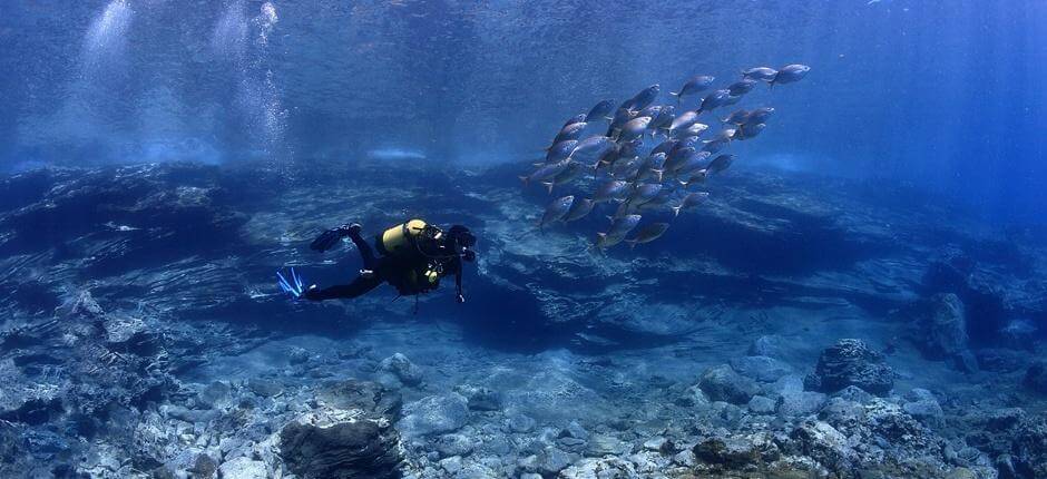 Immergersi alla  Montaña Amarilla, a Tenerife