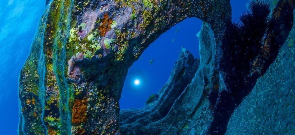 Immergersi alla  Montaña Amarilla, a Tenerife