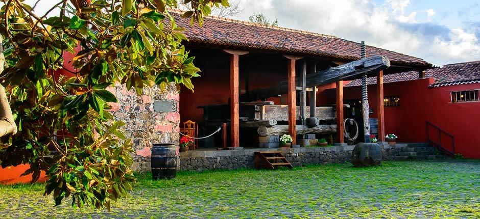 Casa del Vino e del Miele Musei e attrazioni turistiche a Tenerife 