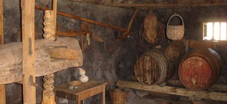 Museo del Vino de La Palma + Cantine di La Palma