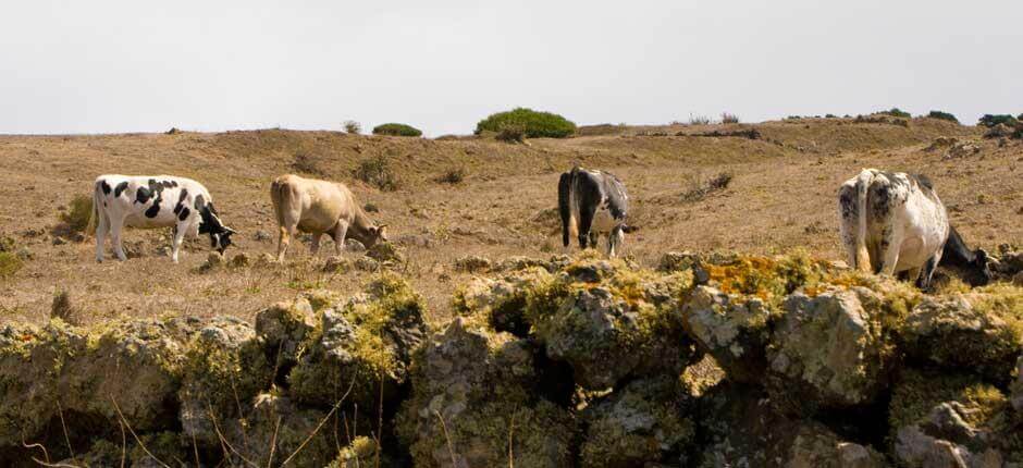 Parque Rural de Frontera, en El Hierro