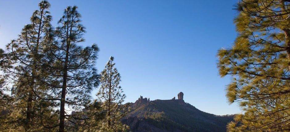 Parque Rural del Nublo, en Gran Canaria