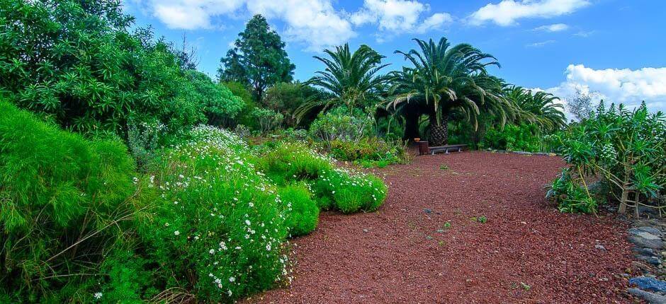 Piramidi di Güímar Musei e attrazioni turistiche di Tenerife