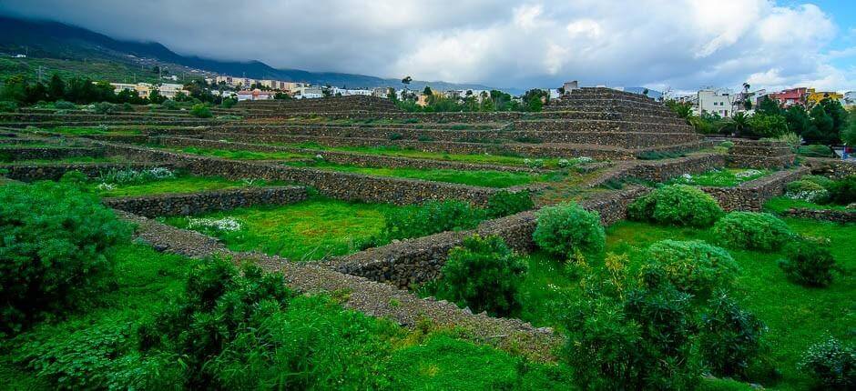 Piramidi di Güímar Musei e attrazioni turistiche di Tenerife