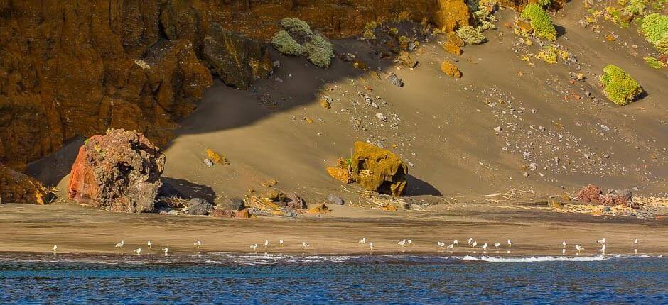 Spiaggia di Antequera + Spiagge incontaminate