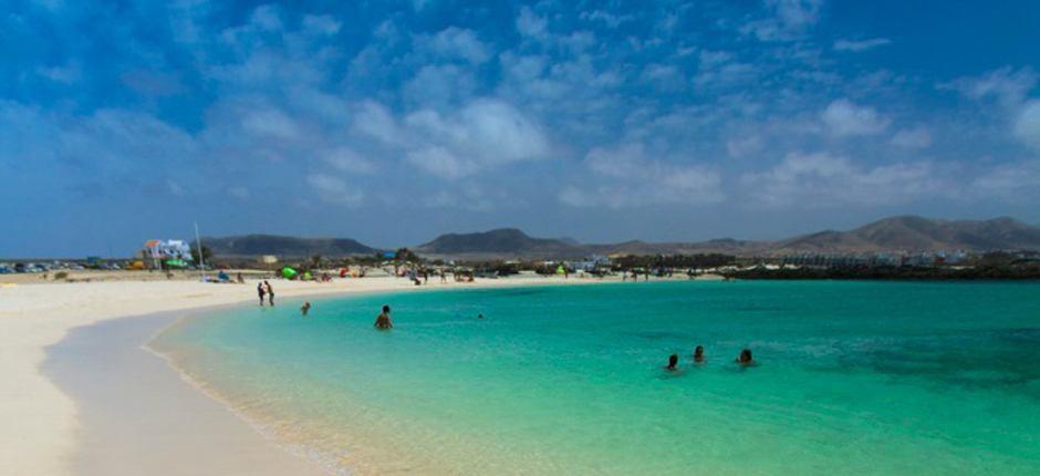 Spiaggia di La Concha Spiagge popolari di Fuerteventura