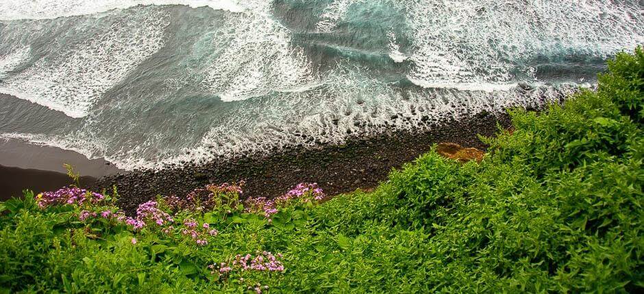 Spiaggia di Los Patos + Spiagge incontaminate di Tenerife