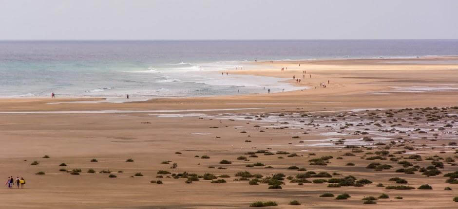 Kitesurf alla spiaggia di Sotavento Spot per il kitesurf a Fuerteventura 