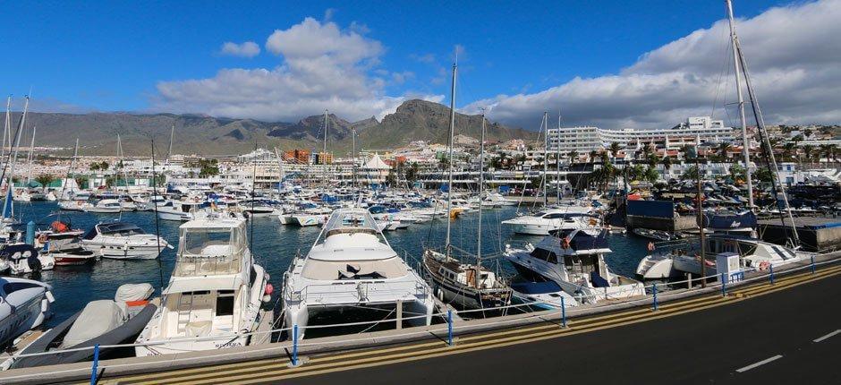 Puerto Colón Marine e porti sportivi a Tenerife